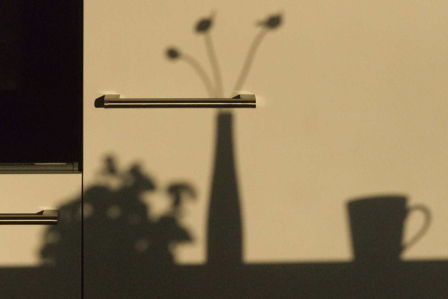 The shadow of a vase with branches on a wall